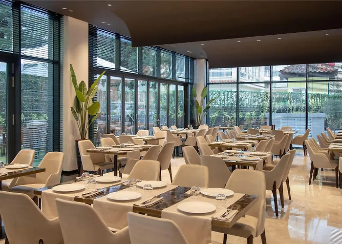 Elisa Affiliated By Melia Tirana