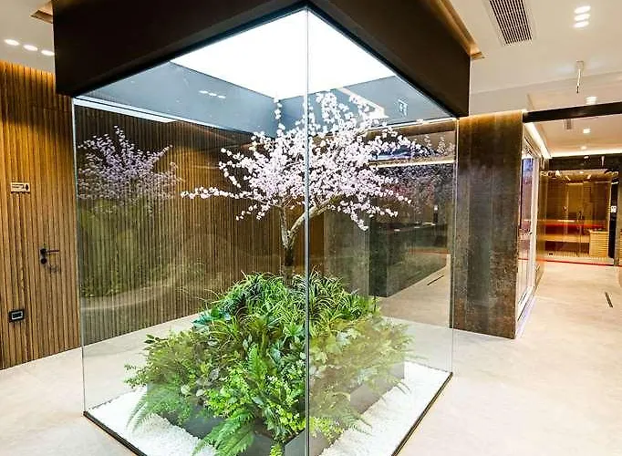 Elisa Affiliated By Melia Tirana